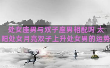 处女座男与双子座男相配吗 太阳处女月亮双子上升处女男的运势